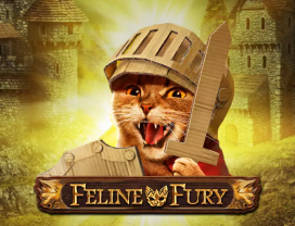 Feline Fury